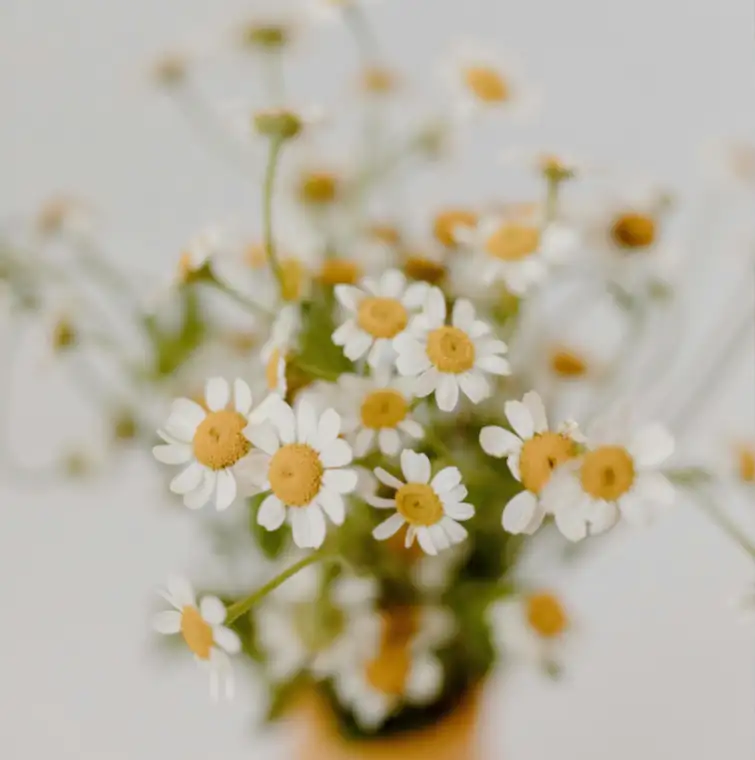 Gesundheitspraxis Susanne Godli